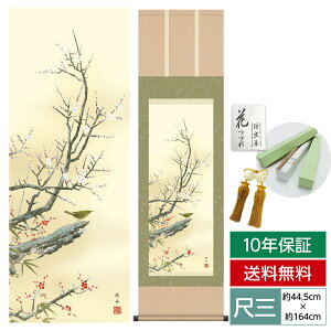 | | ̊ _ a ڎO Ԓ| lGԒ lGO t g~ ] jM O 44.5 164cm jq{\ 10Nԕۏ [ h  t ̓ hV̓ v[