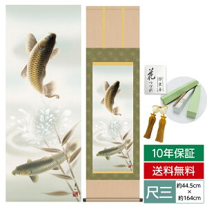 | | ̊ _ a ڎO [߂̐ߋ V |{ R | 44.5 164cm jq{\ 10Nԕۏ [ h  t ̓ hV̓ v[g킢 