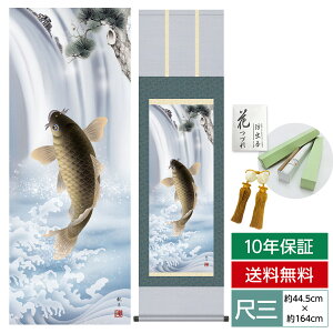 | | ̊ _ a ڎO [߂̐ߋ 司 XR ό O 44.5 164cm jq{\ 10Nԕۏ [ h  t ̓ hV̓ v[g  ^yXg