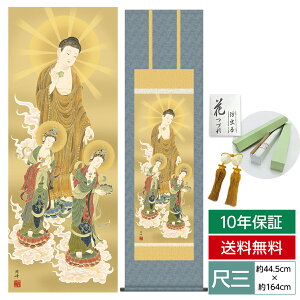 | | ̊ _ a | ڎO O ɎO   ŎR 44.5 164cm jqŕ\ 10Nԕۏ [ h  t ̓ hV̓ v[g 