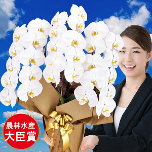 Ӓ 3{ 30ֈȏ  hV̓ hV̓ v[g j Аݗ I[v JƏj JXj j X^h    @v 䋟 V    