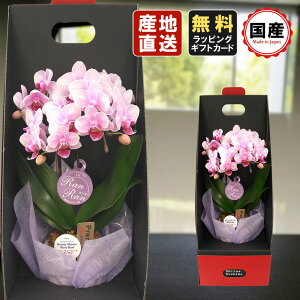 ~jӒ ~fBӒ Ӓ ~j Ӓ ~fB Ӓ }CN  Mtg  2WAYe[u{bNX 2{ sN v[g hV̓ hV̓ v[g JXj ̓ 