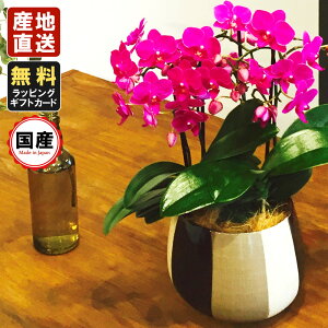 ~jӒ ~fBӒ Ӓ ~j Ӓ ~fB Ӓ Mtg }CNӒ   mgR 5.5 3{ v[g hV̓ hV̓ v[g JXj ̓ j