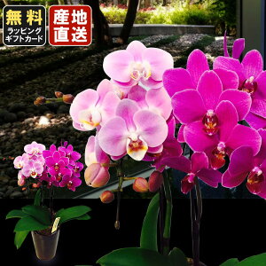 ~jӒ ~fBӒ Ӓ ~j Ӓ ~fB F }CN   ~bNX5A 2{ Mtgɉ v[g JXj ̓  ̓Mtg hV̓ 