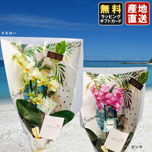 ~jӒ ~fBӒ Ӓ ~j Ӓ ~fB Ӓ Mtg }CNӒ   in your Room Mtg T}[ver. 3A 1{ sN CG[ v[g JXj ̓ 