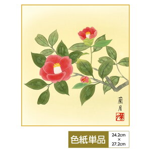 F G A[g Ԓ _ lGʑJ  g䗖 TCY24.2cm 27.2cm דFF ̓ ̓ hV̓ v[g 蕨