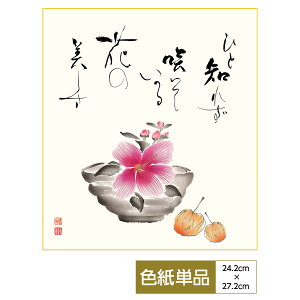 F G A[g   ̖I _ قÂ m TCY24.2cm 27.2cm דFF ̓ ̓ hV̓ v[g 蕨