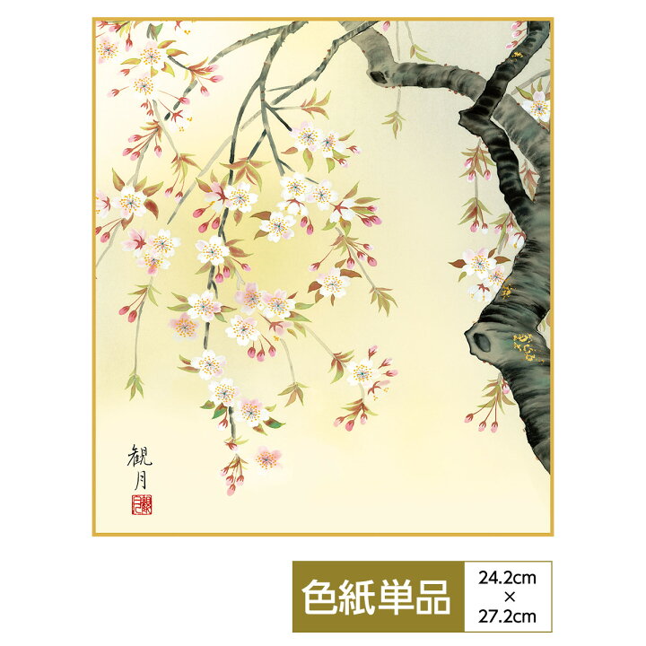 楽天市場 おみやげ用作品 色紙 桜名景 桜花爛漫 森山観月 サイズ幅24 2cm 高さ27 2cm 高精細特色色紙 父の日 母の日 敬老の日 プレゼント 贈り物 人形広場 雛人形 五月人形専門店