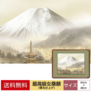 G A[g zG zōKz  _ CeA xmi ct ŎR TCY 63cm 48cm zVRK ێdグ \jqz\ ANJo[