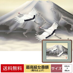 G A[g zG { cjN ōKz CeA xx  ŎR TCY 63cm 48cm zVRK ێdグ \jqz\ ANJo[