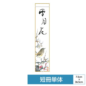 | | ̊ _ a Z V[Y g~ t b TCY7.5cm 36.5cm ʓFH|Z  ^yXg[ 킢 
