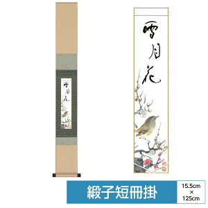 | | ̊ _ a F a| RNV Z| V[Y jqZ|  TCY15.5cm 125cm \njq Ȏx߃p[ ϔ[ ʓFH|Zt 