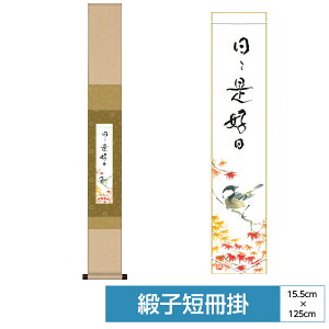 | | ̊ _ a F a| RNV Z| V[Y jqZ|  TCY15.5cm 125cm \njq Ȏx߃p[ ϔ[ ʓFH|Zt 