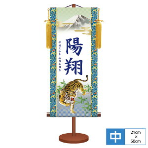 O O _FT| [߂̐ߋ Ҍ TCY21cm 50cm {iEjqԖP ϔ[ [t pX^ht t