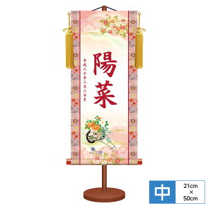 O O _FT| ̐ߋ eԎ TCY21cm 50cm {iEjqԏ- ϔ[ [t pX^ht t