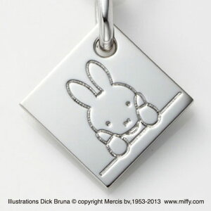 ~btB[2013C[v[gy_g Vܓƃ~btB[R{[VđfGȃRNVł܂ Mtg ANZT[