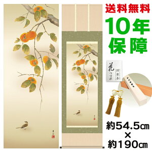 掛け軸 掛軸 床の間 モダン 和風 尺五 柿に小鳥 緒方葉水 洛彩緞子本表装 約54.5 190cm 新絹本 10年間保証 収納箱 防虫香 風鎮 付き 父の日 敬老の日 プレゼント巨匠 複製画 タペストリー かわい