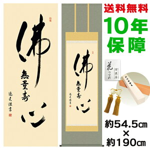 | | ̊ _ a ڌ S cv jqŕ\ 54.5 190cm V{ 10Nԕۏ [ h  t ̓ hV̓ v[g  ^yXg[ 킢