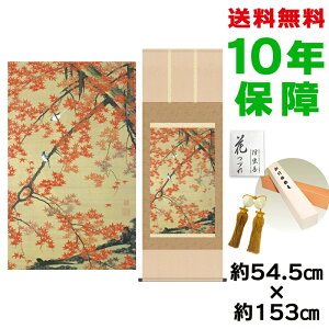 | | ̊ _ a ڌ gtא} ɓt jq{\ 54.5 153cm V{ 10Nԕۏ [ h  t ̓ hV̓ v[g  ^yXg[ 