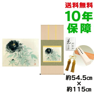 | | ̊ _ a ڌ nO M jq{\ 54.5 115cm V{ 10Nԕۏ [ h  t ̓ hV̓ v[g  ^yXg[ 킢 