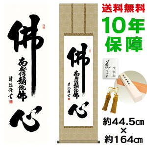 | | ̊ _ a S gcI jqە\ 44.5 164cm V{ 10Nԕۏ [ h  t ̓ hV̓ v[g  ^yXg[ 킢 