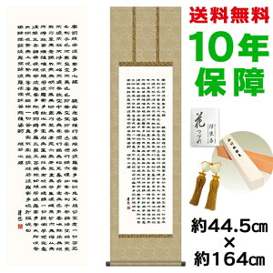 | | ̊ _ a ʎSo gcI jqە\ 44.5 164cm V{ 10Nԕۏ [ h  t ̓ hV̓ v[g  ^yXg[ 킢 