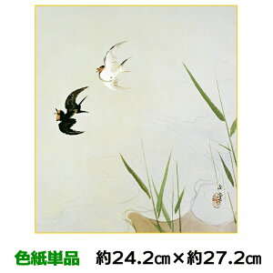 F G A[g 액 _   썇ʓ I 24.2 27.2cm ʓFH|Fa FG RNV ̓ ̓ hV̓ v[g 蕨