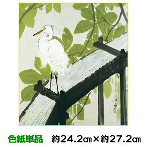 F G A[g 액 _  Ȏt 썇ʓ I 24.2 27.2cm ʓFH|Fa FG RNV ̓ ̓ hV̓ v[g 蕨