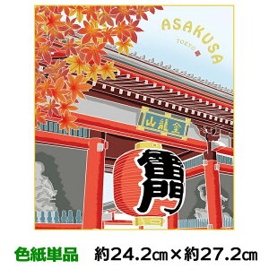 F G A[g 액 _   Hi 㑺m nF  24.2 27.2cm ʓFH|Fa FG RNV ̓ ̓ hV̓ v[g 蕨