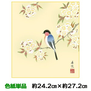 F G A[g 액 _  ɗڗ x Ԓl 24.2 27.2cm ʓFH|Fa FG RNV ̓ ̓ hV̓ v[g 蕨
