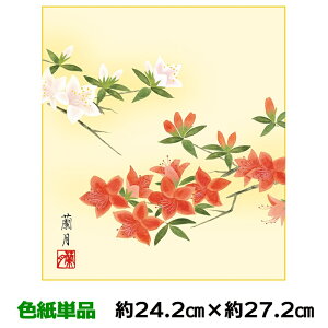 F G A[g 액 _   g䗖 lGʑJ 24.2 27.2cm ʓFH|Fa FG RNV ̓ ̓ hV̓ v[g 蕨