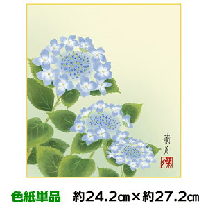 F G A[g 액 _  z g䗖 lGʑJ 24.2 27.2cm ʓFH|Fa FG RNV ̓ ̓ hV̓ v[g 蕨