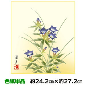 F G A[g 액 _  j[ g䗖 lGʑJ 24.2 27.2cm ʓFH|Fa FG RNV ̓ ̓ hV̓ v[g 蕨