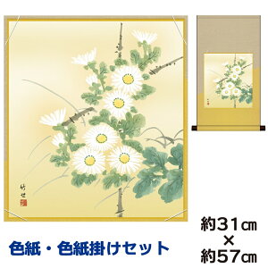 | | ̊ _ a F F| Zbg e c| ȃfUC 31 57cm ʓF H|F a ƍi ̓ ̓ hV̓ v[g 蕨 