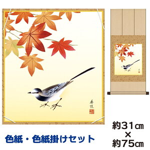 | | ̊ _ a F F| Zbg gt x jqF| 31 75cm ʓF H|F a ƍi ̓ ̓ hV̓ v[g 蕨 