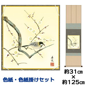 | | ̊ _ a F F| Zbg ~T x ߊ}jqFZ| 31 125cm ʓF H|F a ƍi ̓ ̓ hV̓ v[g 蕨