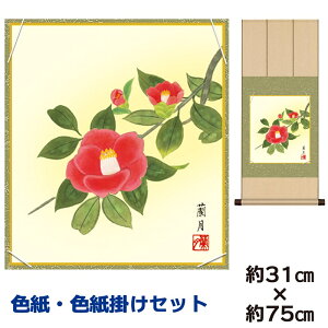 | | ̊ _ a F F| Zbg  g䗖 jqF| 31 75cm ʓF H|F a ƍi ̓ ̓ hV̓ v[g 蕨 