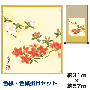 | | ̊ _ a F F| Zbg  g䗖 ȃfUC 31 57cm ʓF H|F a ƍi ̓ ̓ hV̓ v[g 蕨