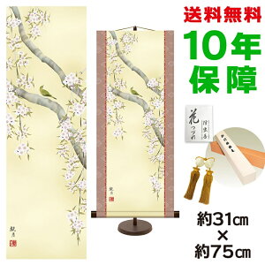 | | ̊ _ a Ԃ XRό pX^ht 31  75cm V{ a ƍi  ^yXg[ 킢 