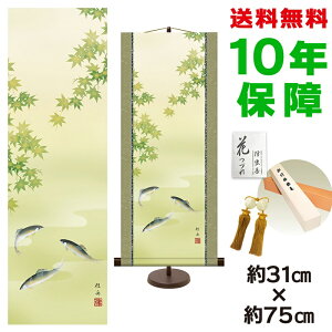 | | ̊ _ a Ɉ ]jM pX^ht 31  75cm V{ a ƍi  ^yXg[ 킢 