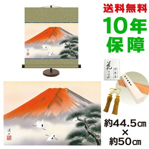 | | ̊ _ a ԕxm ɓkR pX^ht 44.5 50cm V{ a ƍi  ^yXg[ 킢 