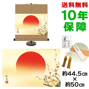 | | ̊ _ a  c| pX^ht 44.5 50cm V{ a ƍi  ^yXg[ 킢 