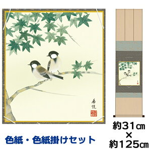 | | ̊ _ a F F| Zbg Ɏl\ x ߊ}jqFZ| 31 125cm ʓF H|F a ƍi ̓ ̓ hV̓ v[g 蕨