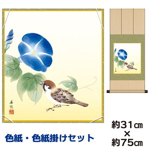 | | ̊ _ a F F| Zbg  x jqF| 31 75cm ʓF H|F a ƍi ̓ ̓ hV̓ v[g 蕨 