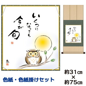 | | ̊ _ a F F| Zbg 킹ӂ낤 b jqF| 31 75cm ʓF H|F a ƍi ̓ ̓ hV̓ v[g 