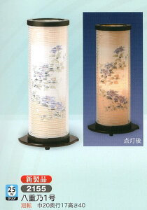 ~ n dT1 25WNA ] ~ _ ~ RpNg ~ ~j