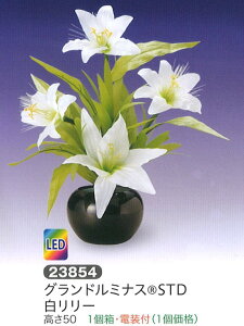 ~ led Oh~iX R STD [ LED ~ _ ~ RpNg ~ ~j