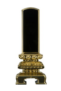 ʔv  hʔv _ʔv   x   hʔv ʔv {ʔv  vw A l\ @v 49 O q 5 5.0 48-4