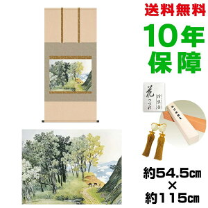 | | ̊ _ a ڌ RJ 썇ʓ jq{\ 54.5 115cm V{ 10Nԕۏ [ h  t ̓ hV̓ v[g  ^yXg[ 킢