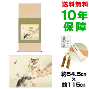 | | ̊ _ a ڌ ݁TÂ |P jq{\ 54.5 115cm V{ 10Nԕۏ [ h  t ̓ hV̓ v[g  ^yXg[ 킢